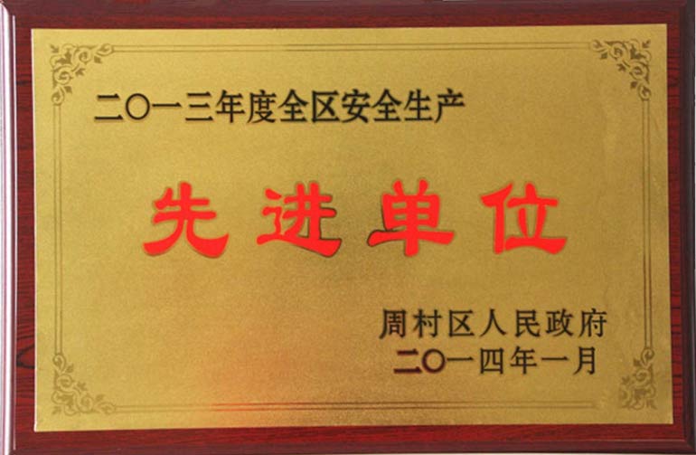 全区安全生产先进单位