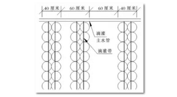 供水系统通过将水库与滴灌相结合来实现